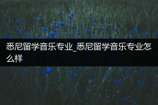 悉尼留学音乐专业_悉尼留学音乐专业怎么样