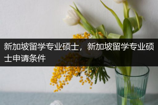 新加坡留学专业硕士，新加坡留学专业硕士申请条件