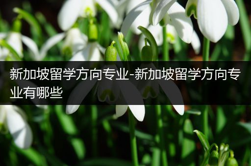 新加坡留学方向专业-新加坡留学方向专业有哪些