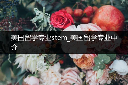 美国留学专业stem_美国留学专业中介