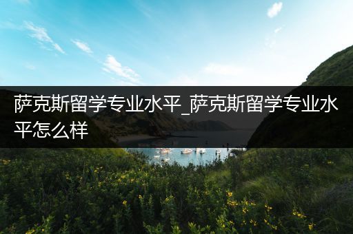 萨克斯留学专业水平_萨克斯留学专业水平怎么样