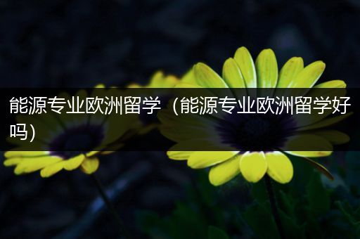 能源专业欧洲留学（能源专业欧洲留学好吗）