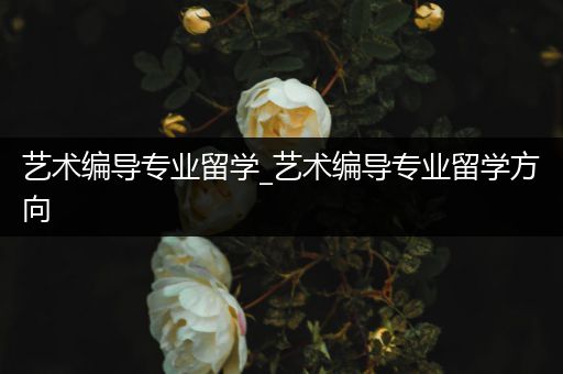 艺术编导专业留学_艺术编导专业留学方向