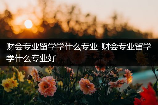 财会专业留学学什么专业-财会专业留学学什么专业好