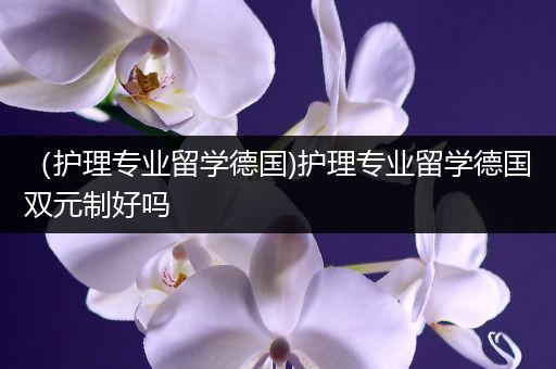 （护理专业留学德国)护理专业留学德国双元制好吗