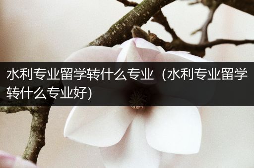 水利专业留学转什么专业（水利专业留学转什么专业好）