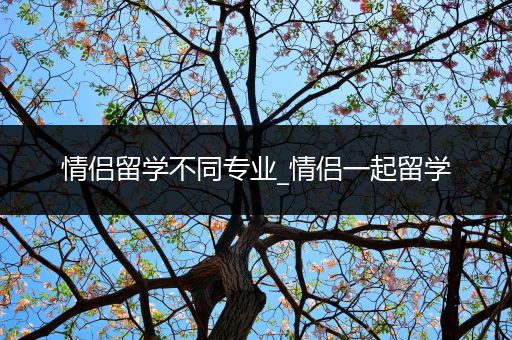 情侣留学不同专业_情侣一起留学