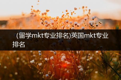 （留学mkt专业排名)英国mkt专业排名