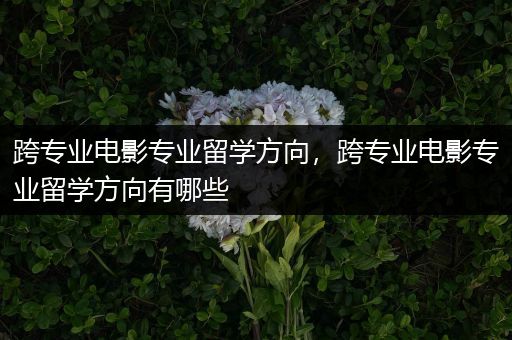 跨专业电影专业留学方向，跨专业电影专业留学方向有哪些