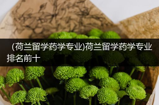 （荷兰留学药学专业)荷兰留学药学专业排名前十