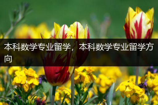 本科数学专业留学，本科数学专业留学方向