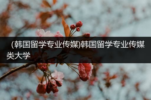 （韩国留学专业传媒)韩国留学专业传媒类大学