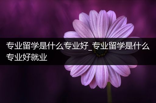 专业留学是什么专业好_专业留学是什么专业好就业