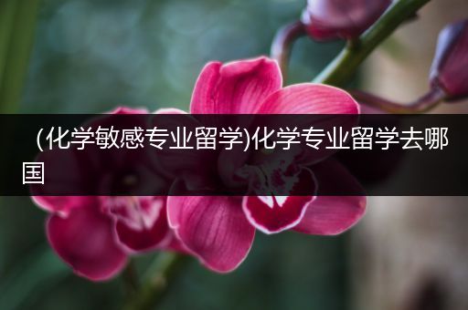 （化学敏感专业留学)化学专业留学去哪国