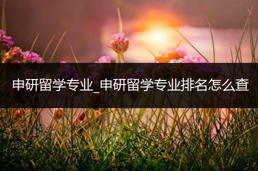 申研留学专业_申研留学专业排名怎么查