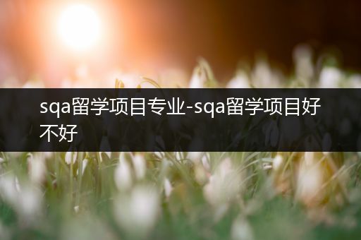 sqa留学项目专业-sqa留学项目好不好