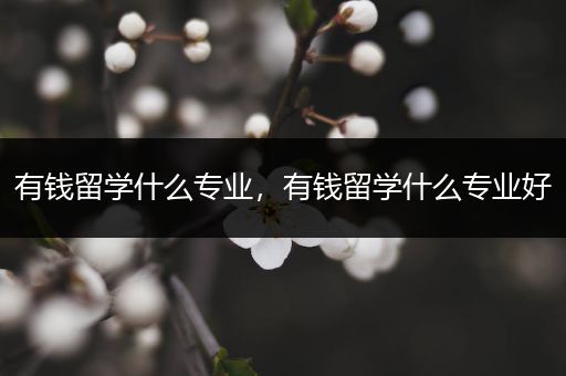 有钱留学什么专业，有钱留学什么专业好