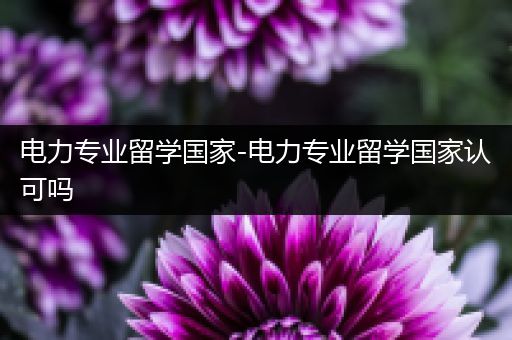 电力专业留学国家-电力专业留学国家认可吗