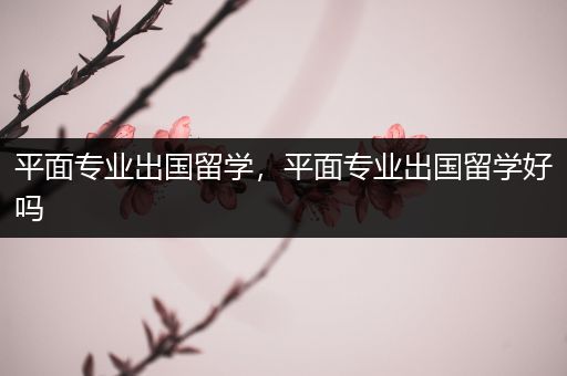 平面专业出国留学，平面专业出国留学好吗