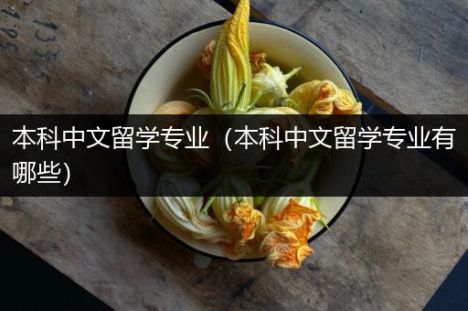 本科中文留学专业（本科中文留学专业有哪些）