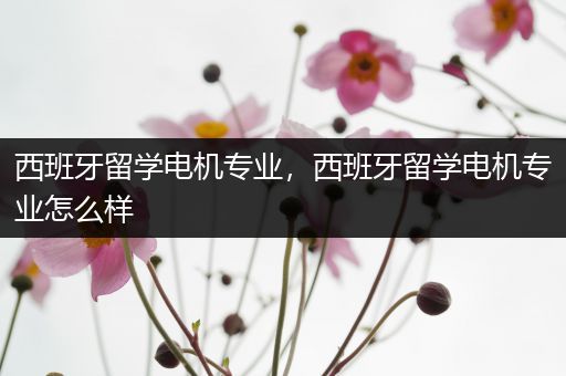 西班牙留学电机专业，西班牙留学电机专业怎么样