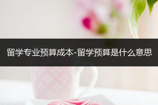 留学专业预算成本-留学预算是什么意思