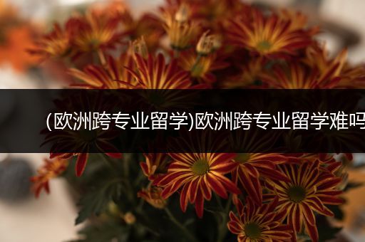 （欧洲跨专业留学)欧洲跨专业留学难吗