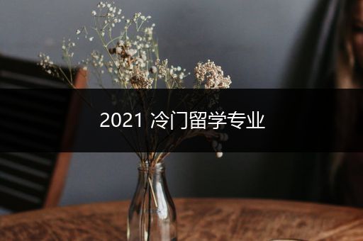 2021 冷门留学专业