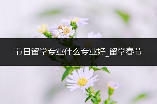 节日留学专业什么专业好_留学春节