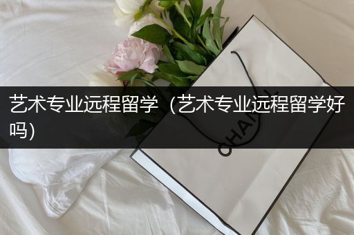 艺术专业远程留学（艺术专业远程留学好吗）