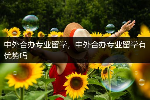 中外合办专业留学，中外合办专业留学有优势吗