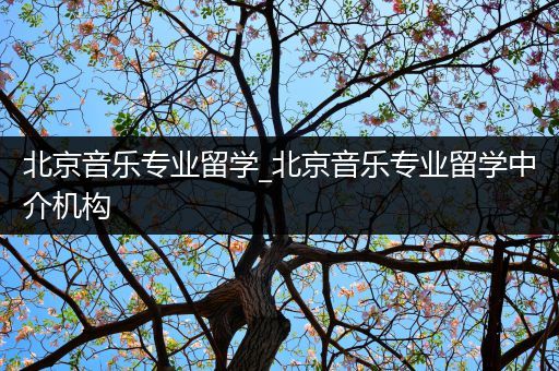 北京音乐专业留学_北京音乐专业留学中介机构