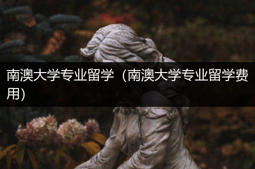 南澳大学专业留学（南澳大学专业留学费用）