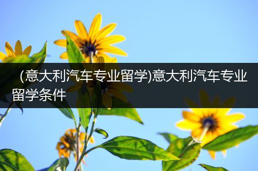 （意大利汽车专业留学)意大利汽车专业留学条件