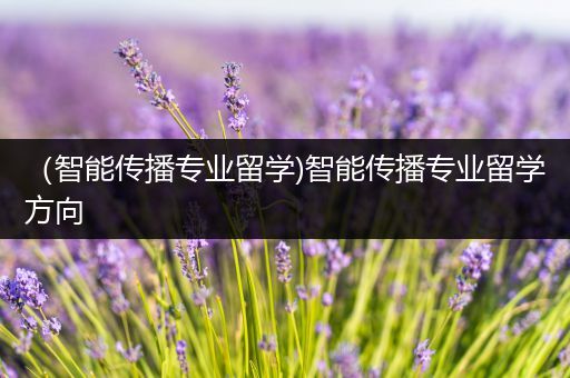 （智能传播专业留学)智能传播专业留学方向