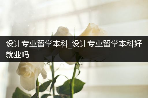 设计专业留学本科_设计专业留学本科好就业吗