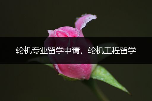 轮机专业留学申请，轮机工程留学