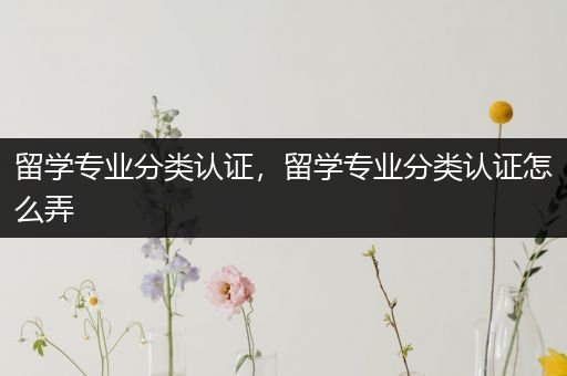 留学专业分类认证，留学专业分类认证怎么弄