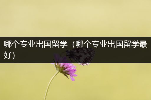 哪个专业出国留学（哪个专业出国留学最好）