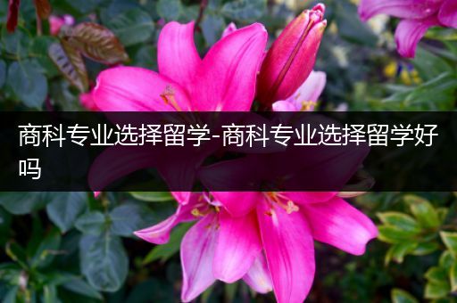 商科专业选择留学-商科专业选择留学好吗