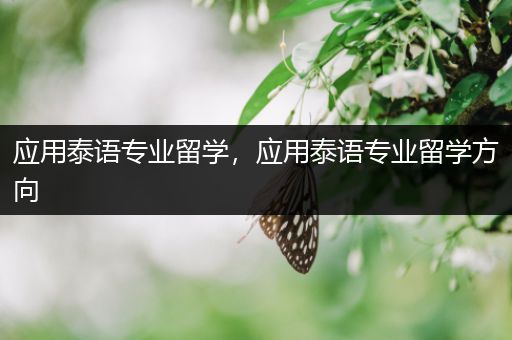 应用泰语专业留学，应用泰语专业留学方向