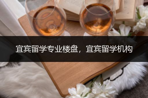 宜宾留学专业楼盘，宜宾留学机构