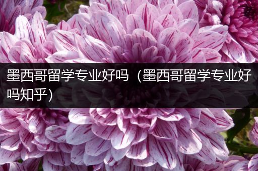 墨西哥留学专业好吗（墨西哥留学专业好吗知乎）