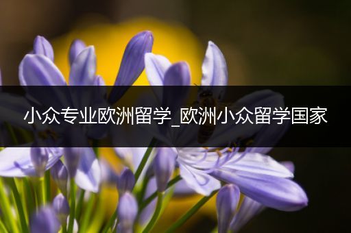 小众专业欧洲留学_欧洲小众留学国家