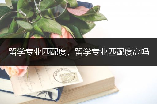 留学专业匹配度，留学专业匹配度高吗