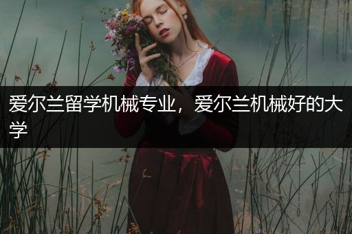 爱尔兰留学机械专业，爱尔兰机械好的大学