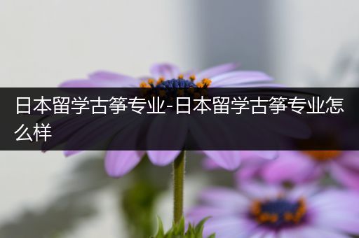 日本留学古筝专业-日本留学古筝专业怎么样