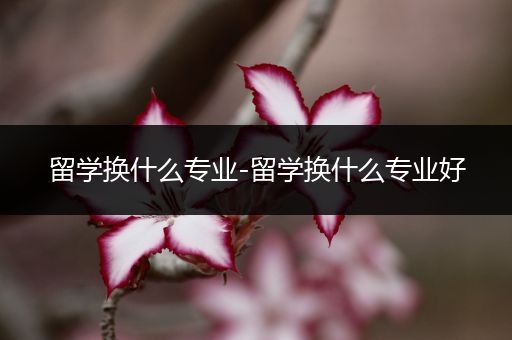 留学换什么专业-留学换什么专业好