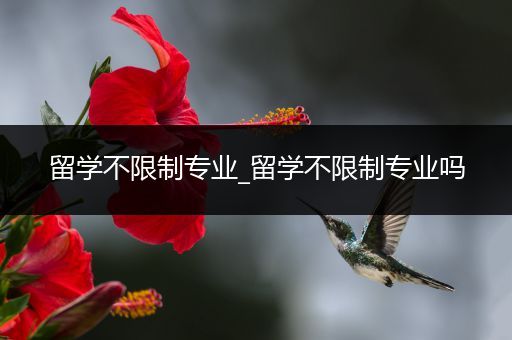 留学不限制专业_留学不限制专业吗