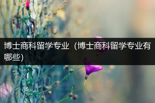 博士商科留学专业（博士商科留学专业有哪些）